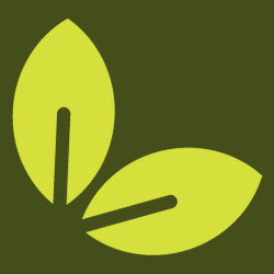 Evengreener Returns & Refunds